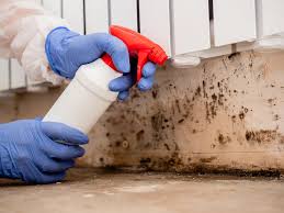 Best Crawl Space Mold Remediation in Azusa, CA